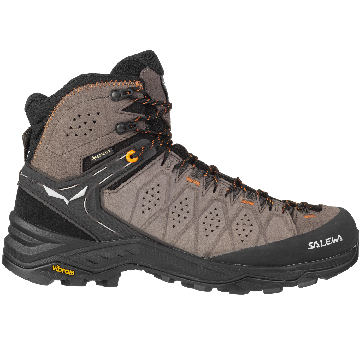 Salewa Alp Trainer 2 Mid GTX