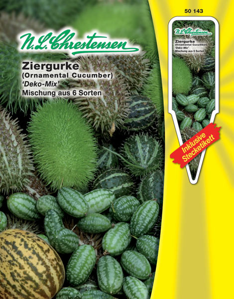 Cucumis Ziergurke