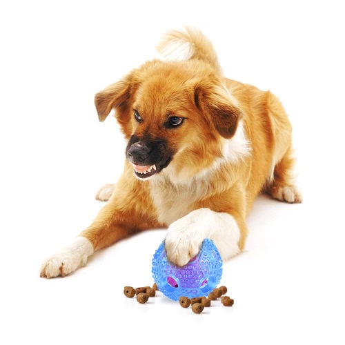 Non-toxic Thermoplastic Rubber Toy Treat Ball Bouncy Ball for Dogs & Cats Interactive Educational Pet Toys