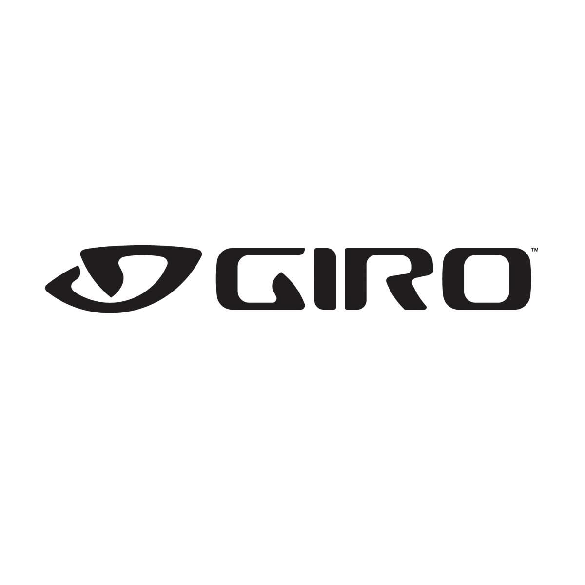 GIRO Aerohead Shield Clear/Silver L