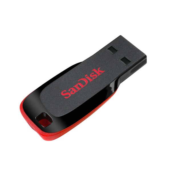 SanDisk 32GB Cruzer Blade USB Flash Drive + SecureAccess Software
