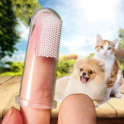 Dog Cat Brushes Full Body Silicone Dog Clean Supply Soft Pet Grooming Supplies Transparent 10-Pack Lightinthebox