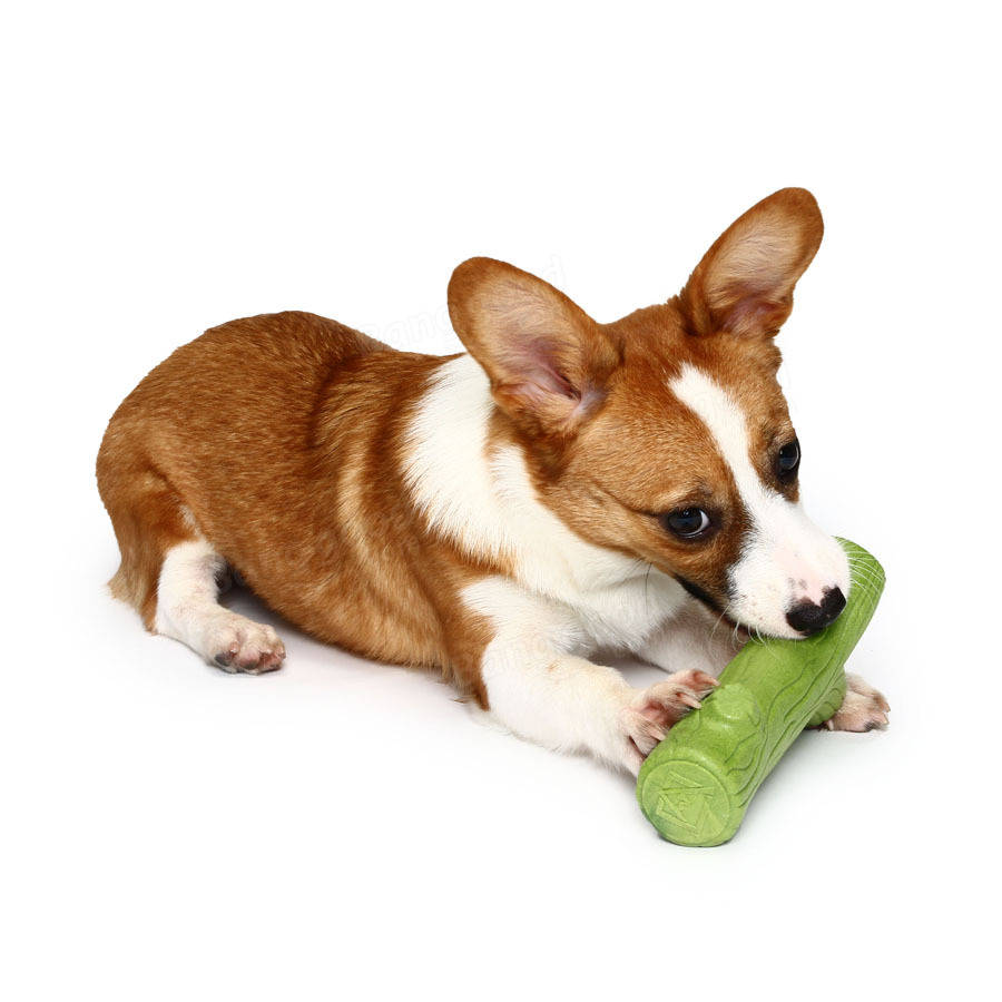 Lovely Branch Solid Molar Wearable Pet Spielzeug Training Hund Props Erhöhen Sie die Intelligenz Hund Spielzeug