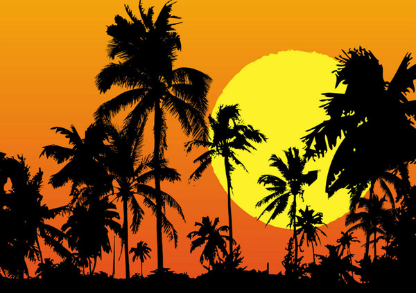 sunset palm trees tropical landscape home decor handpainted &hd print oil painting on canvas wall art canvas pictures 200119