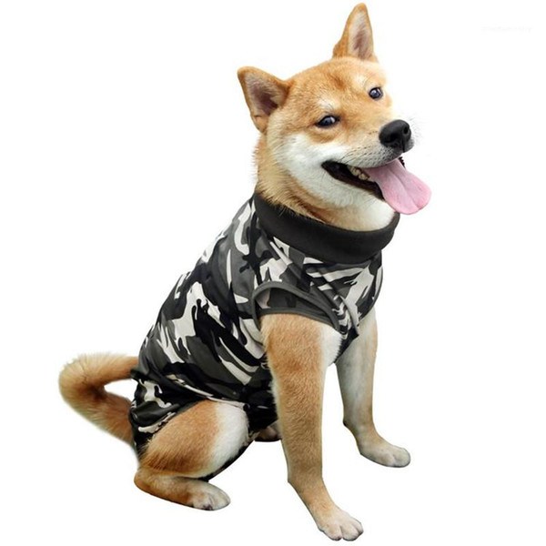 pet camouflage clothing halloween costume cat animal clothes hoodie jacket dog spring autumn contrast color costumes