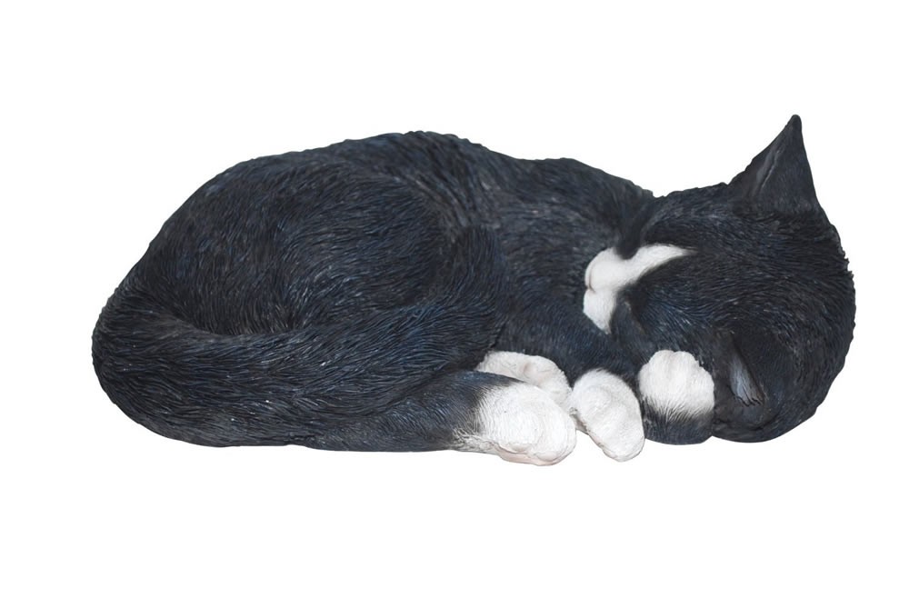 Vivid Arts Sleeping Cat Black & White - Size B