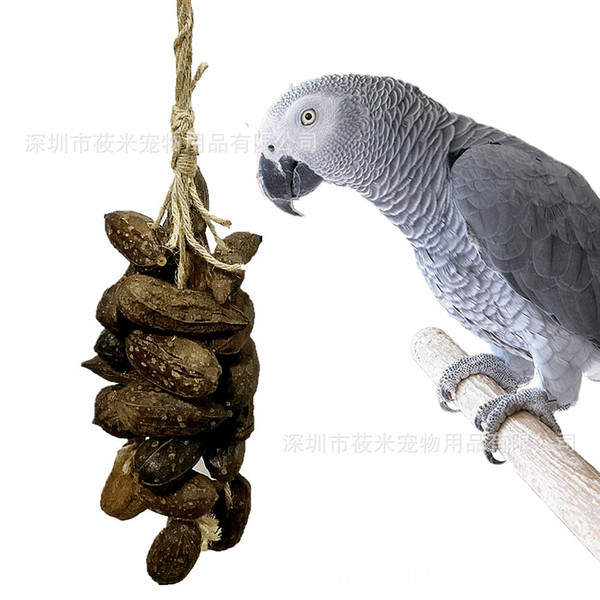 large parrot gnaw toys natural fruit gnawing string nut string parrot articles bird toys 260g