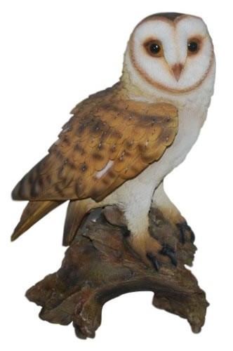 Vivid Arts Real Life Barn Owl - Size B