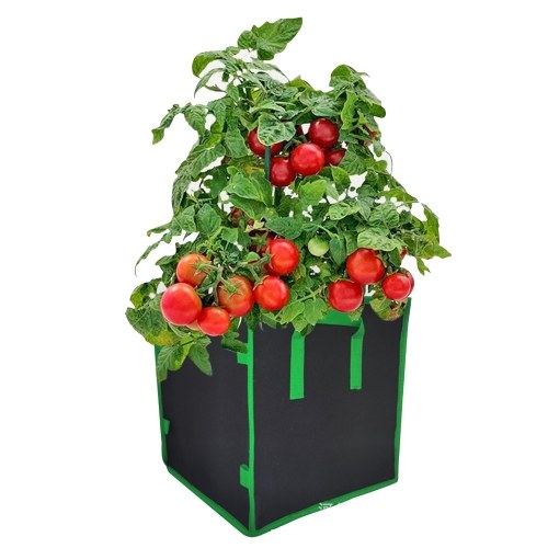 Boîte de jardinière carrée de 3 gallons Garden Grow Bags