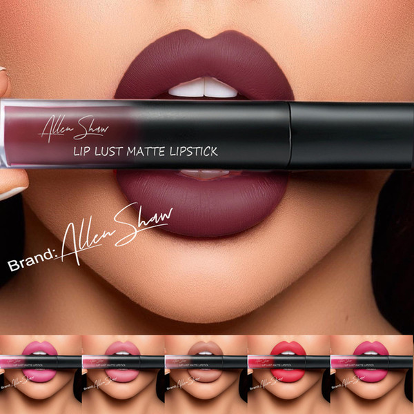 professional makeup velvet lip gloss makeup lasting 24hours waterproof liquid matte lipstick liquid lip gloss 1pc